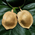 Pendientes Flor de Buganvilla
